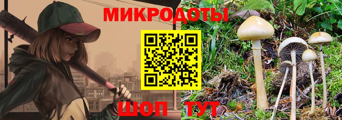 Псилоцибиновые грибы мухоморы Юрга