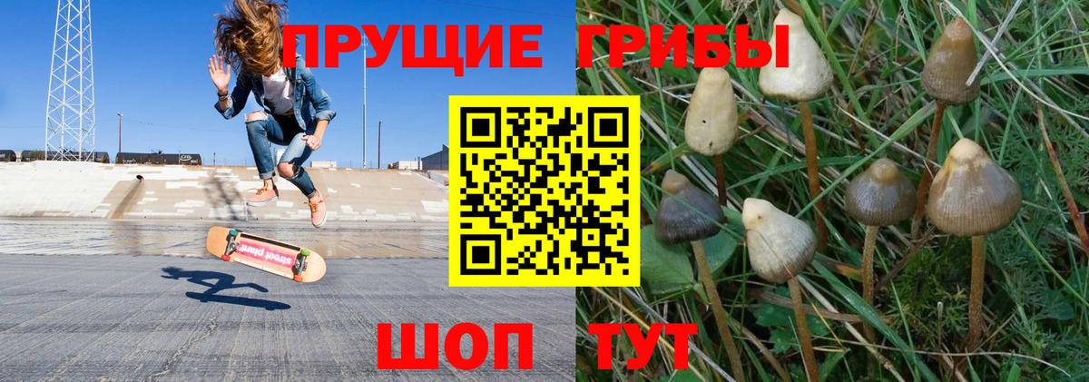 Юрга  Псилоцибиновые грибы GOLDEN TEACHER  Вход с VPN 